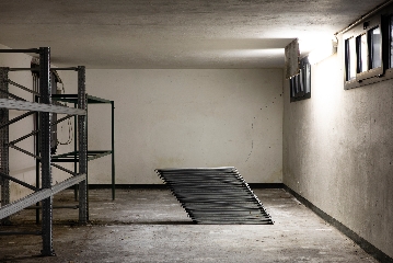 Rosario Aninat & Simon Shim-Sutcliffe, Split-stream, 2023